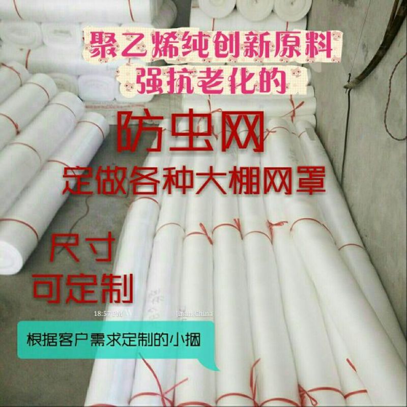 防虫网40目