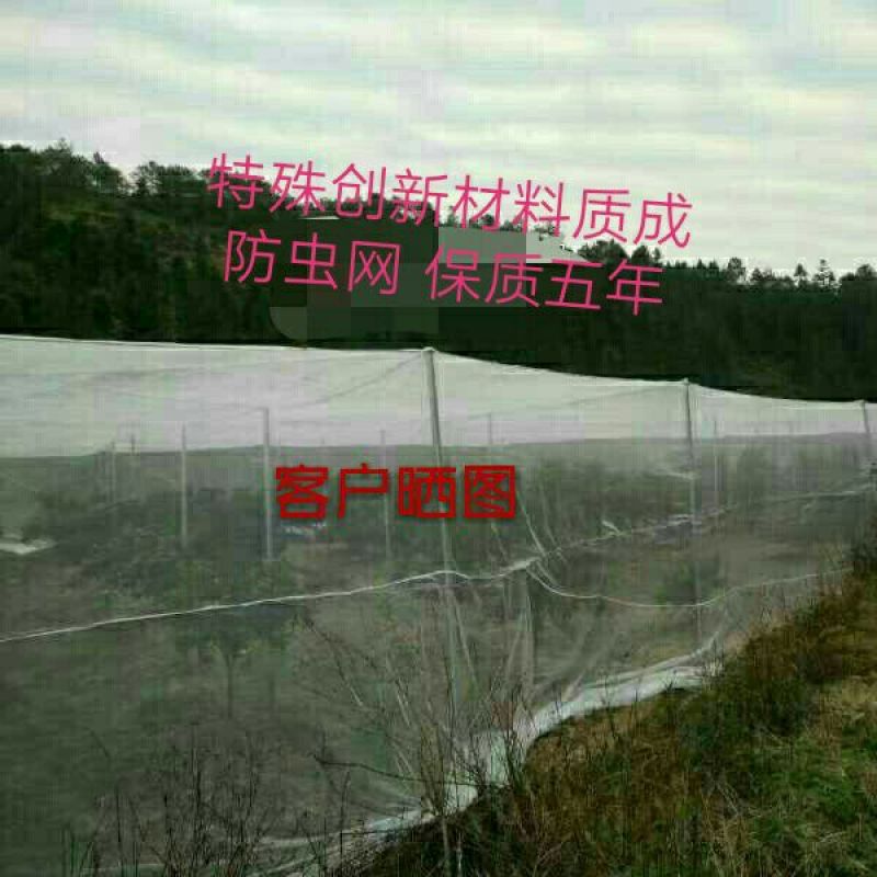 防虫网40目