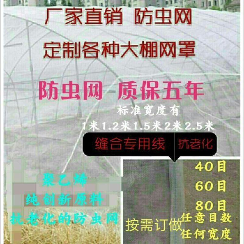 防虫网40目