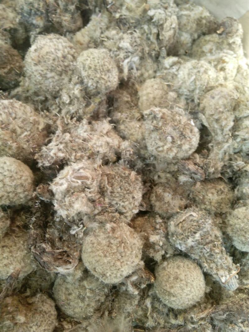 雪莲花藏雪莲干货中药材量大从优2斤起包邮