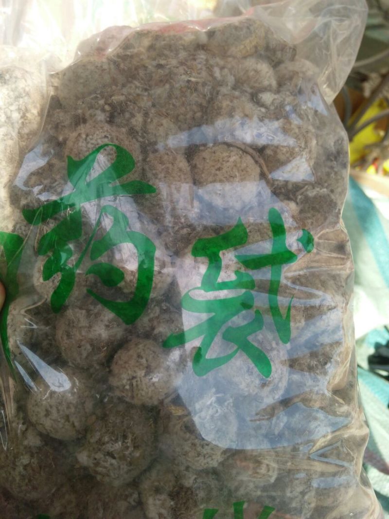 雪莲花藏雪莲干货中药材量大从优2斤起包邮