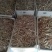 红参个子东北无糖无硫干货一斤起包邮量大从优