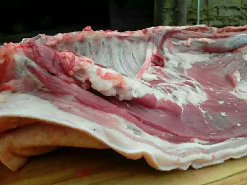 巴马香猪母