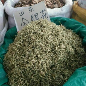 金银花色白花无杆