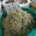 金银花色白花无杆