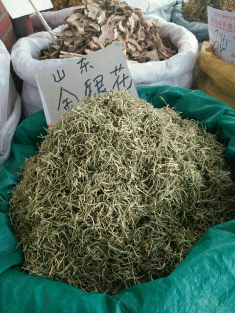 金银花色白花无杆