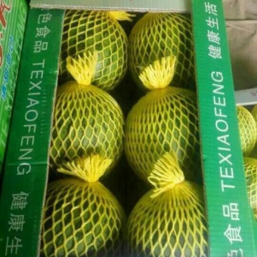温岭特小凤西瓜2斤打底8成熟