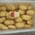 山东大棚土豆大量供应，荷兰十五，欢迎致电合作