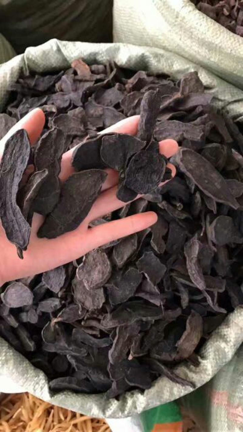 何首乌家种统片