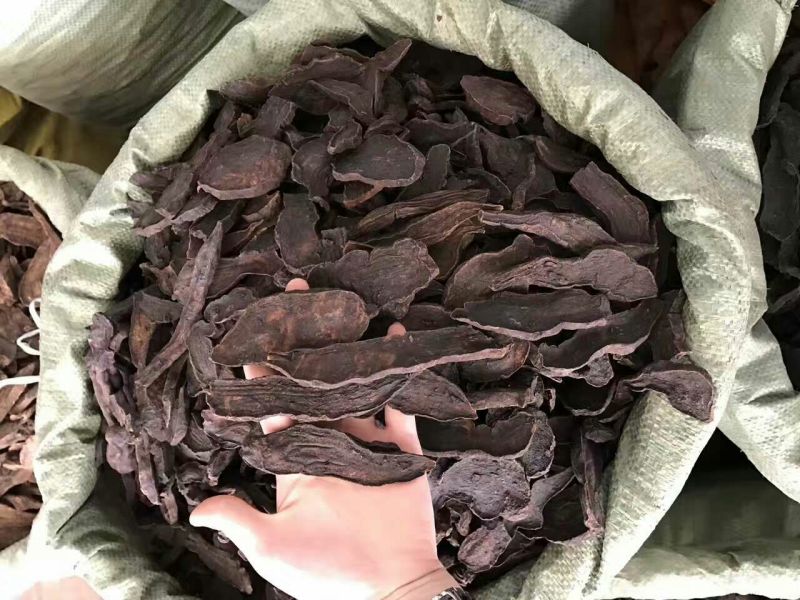 何首乌家种统片
