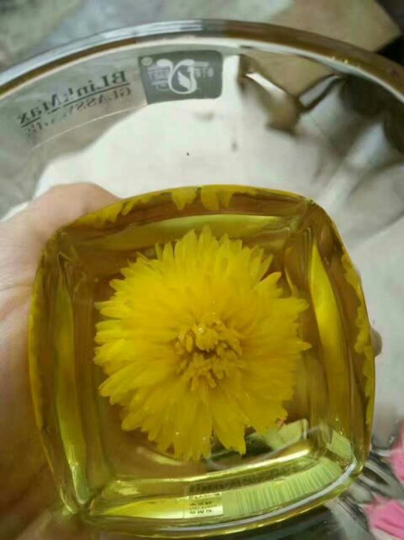 菊花茶特级