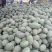 西州蜜瓜3斤以上椭圆形