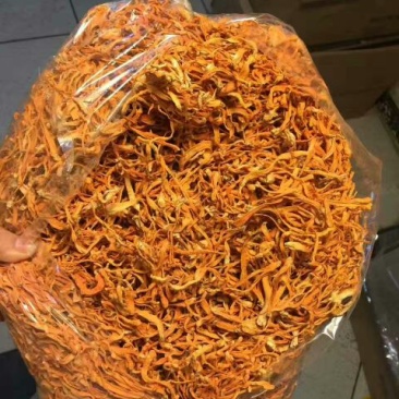 虫草花袋装
