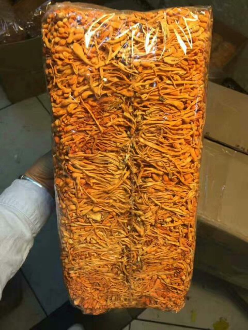虫草花袋装