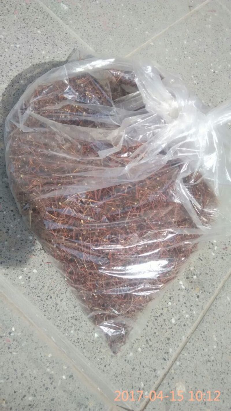 皂角刺3级