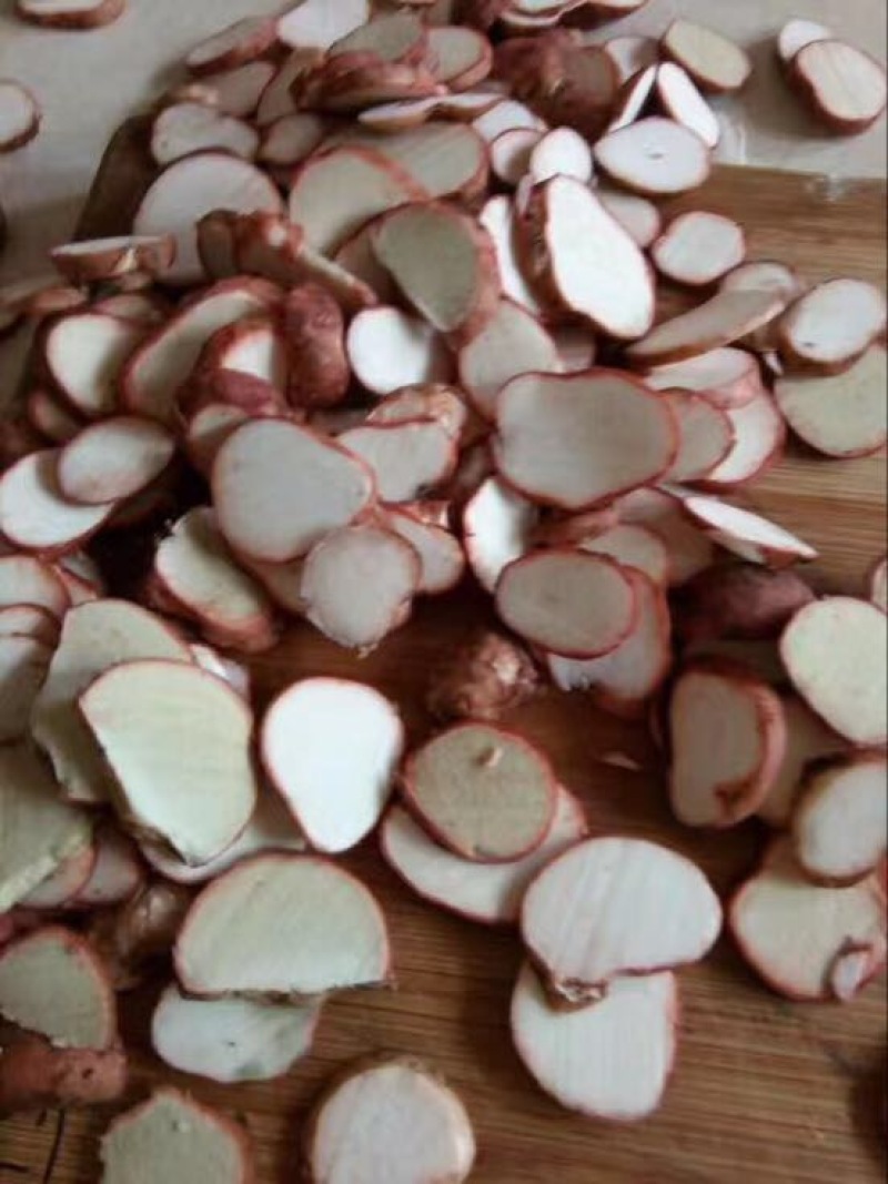 松蘑特级