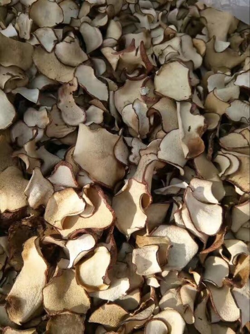松蘑特级