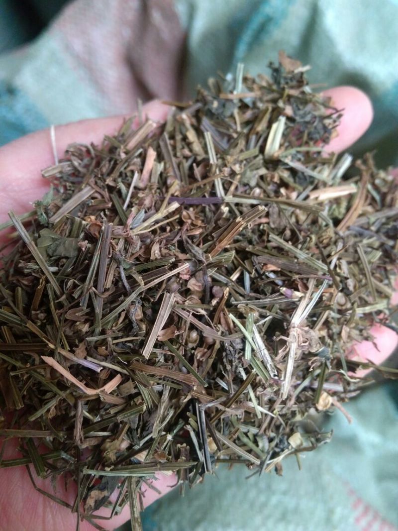 半枝莲全草头茬河南干货人工种植量大从优