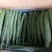 密刺黄瓜油亮型黄瓜，干花带刺25—30公分产地直发