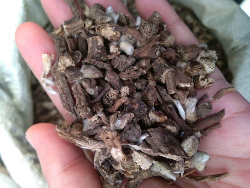 白头翁东北干货2斤起包邮量大优惠