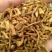 秦艽干货2斤起包邮量大从优