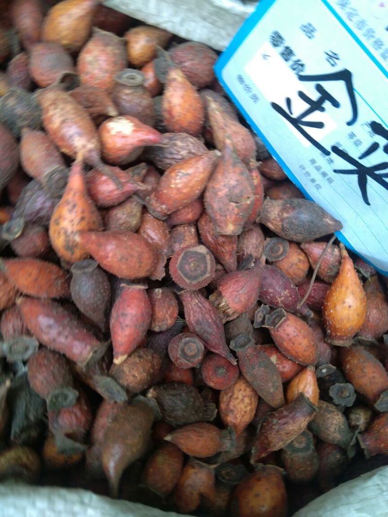 金樱子湖北干货颗粒饱满量大从优