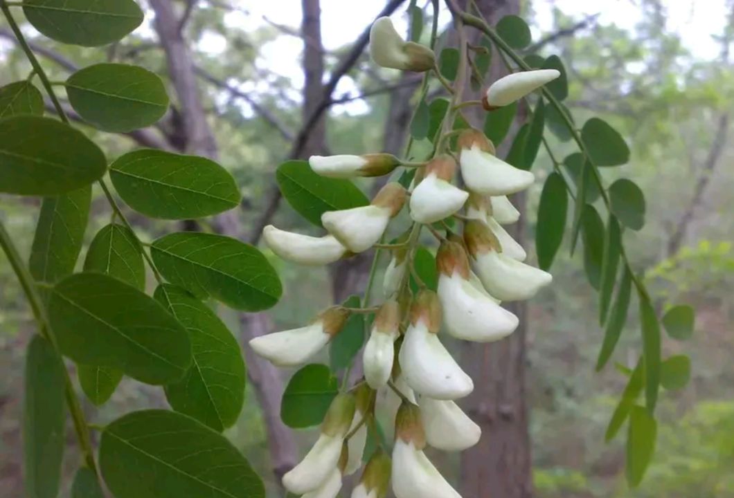 老公梦见老婆一身的过敏,梦境背后的情感与心理解析 老公梦见老婆一身的过敏,梦境背后的情感与心理解析