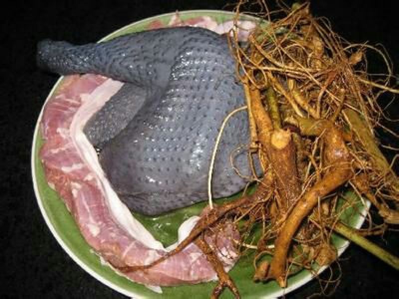 牛奶根