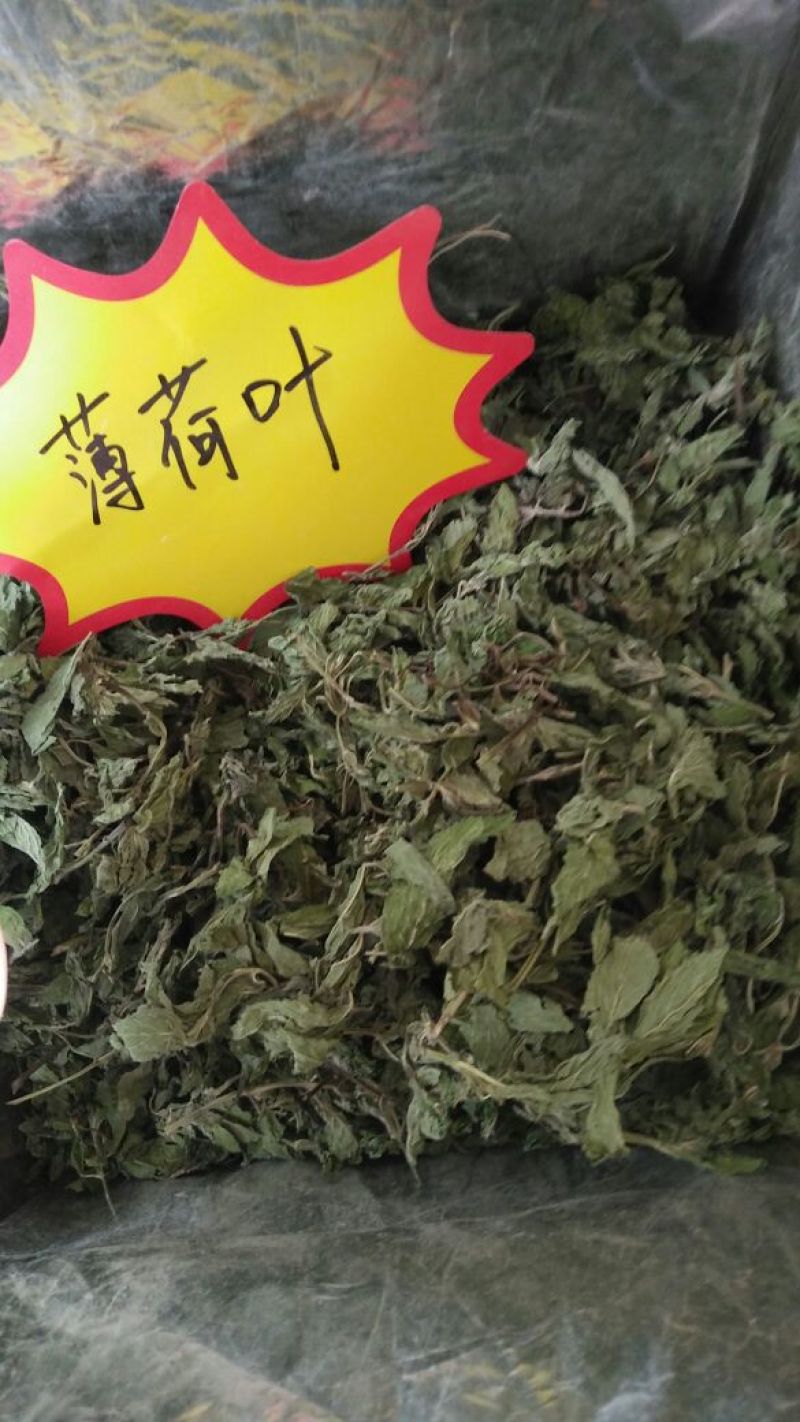 薄荷薄荷叶可泡茶喝不是草药各种中药材批发质量保证产地直销