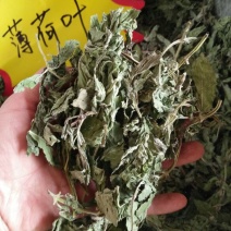 薄荷薄荷叶可泡茶喝不是草药各种中药材批发质量保证产地直销