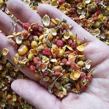 合欢花可泡茶用各种中药材批发零售各种规格中药材