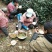 四川眉山绿茶花茶二级