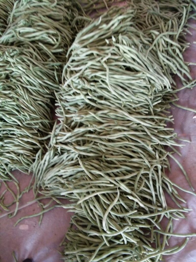 无丝豆