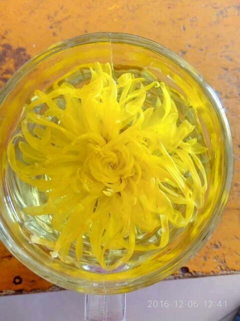 菊花茶特级