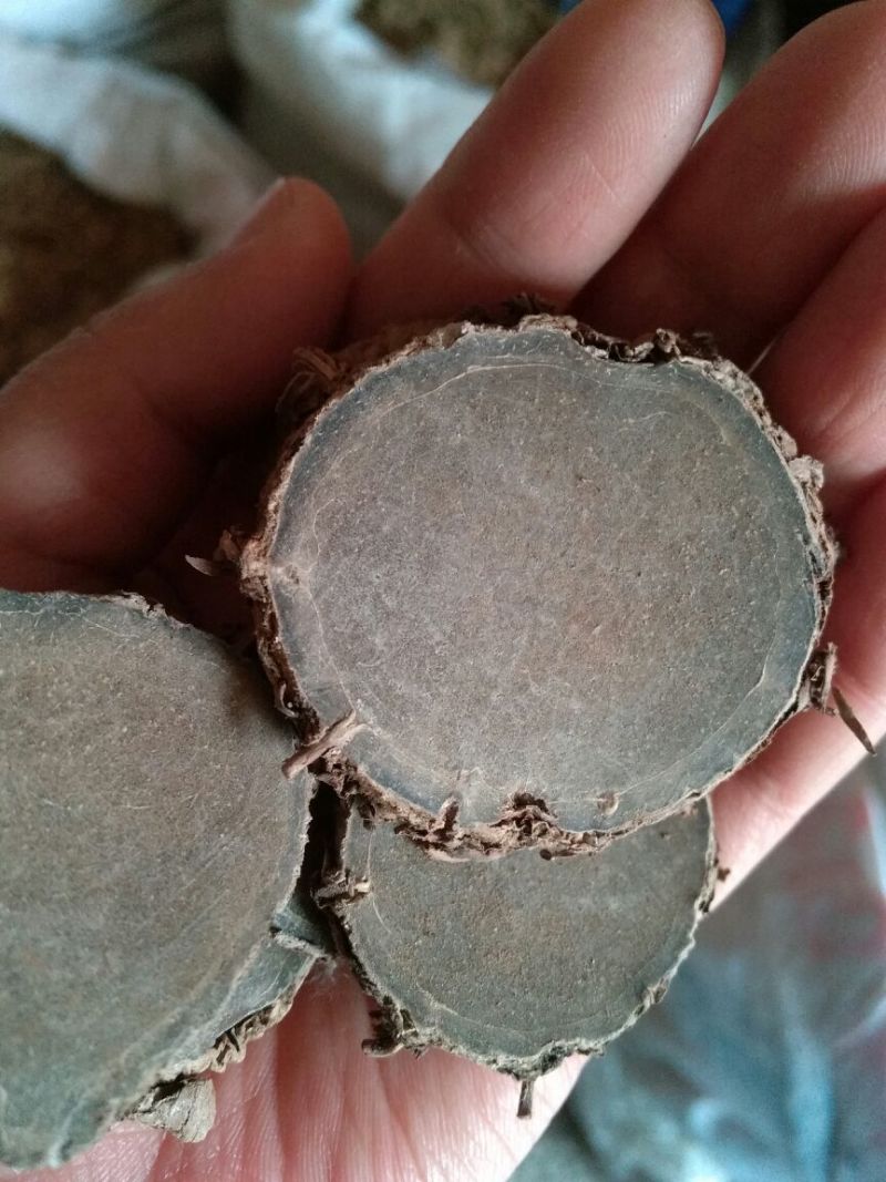 莪术干货通货选片各种规格量大从优欢迎选购