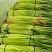 精品红帽蒜苔新蒜薹长度70公分产区一手货源大量供应