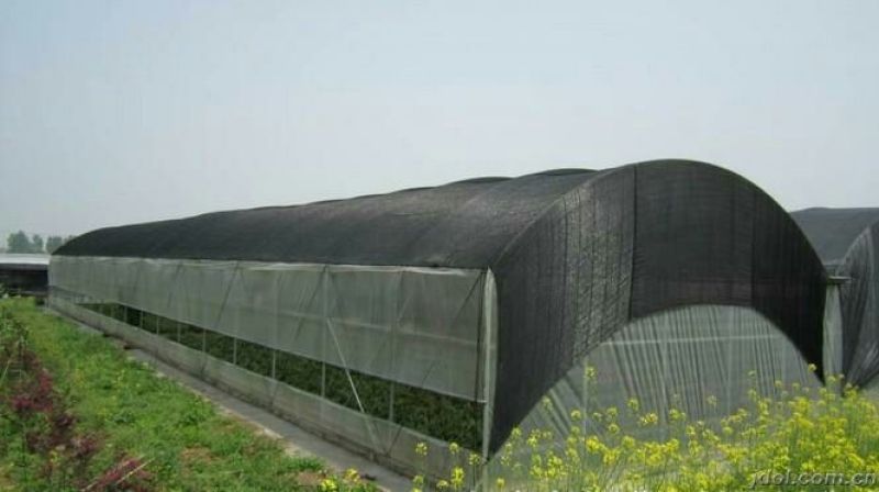 地膜透明色