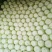 大白菜4~5斤大量供应，持续时间长，无烧心无烂棵诚信代收