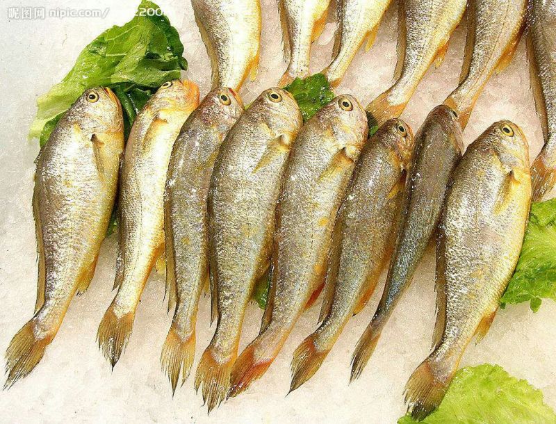 黄鱼食用