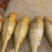 黄鱼食用