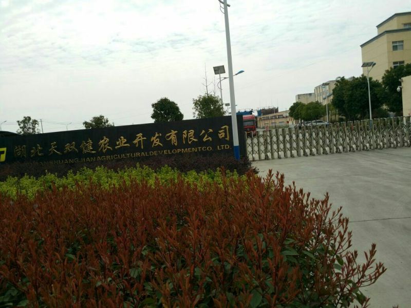 面筋
