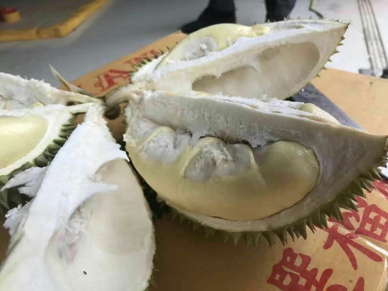 猫山王3~5斤