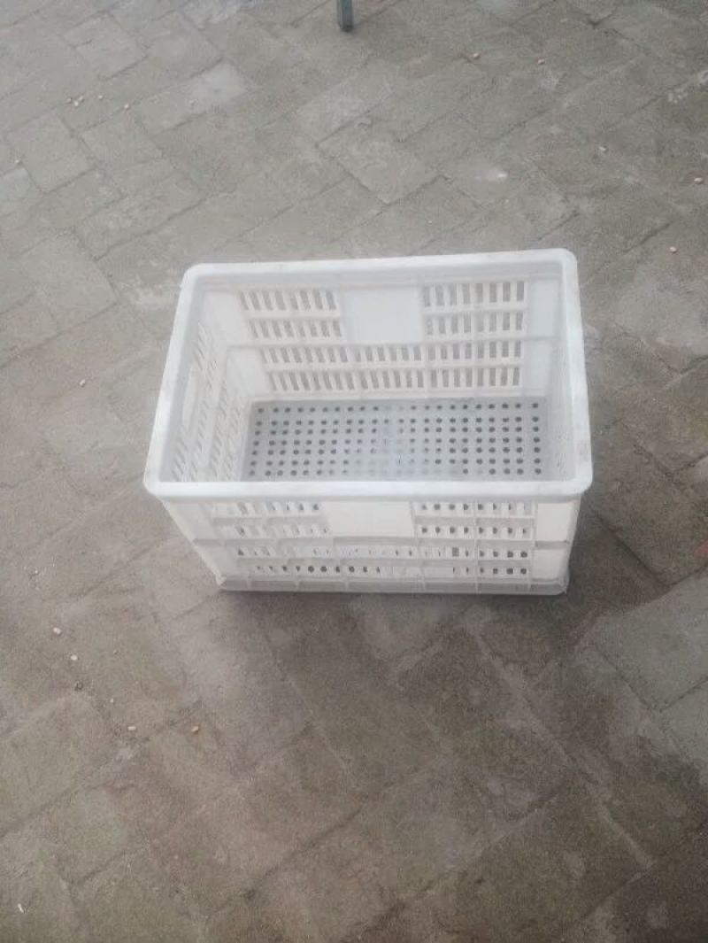 塑料筐外：525*360*300内：490*320*28