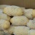 山东大棚土豆荷兰十五土豆2两以上，质量好，价格便宜
