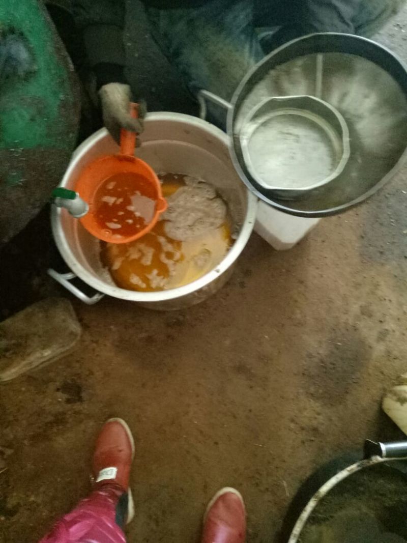 压榨菜籽油四级