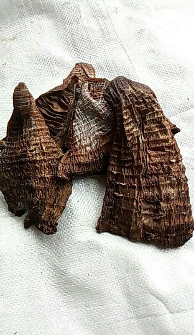 水煮笋干淡笋干