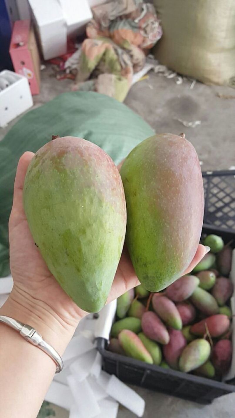 贵妃芒2两以上