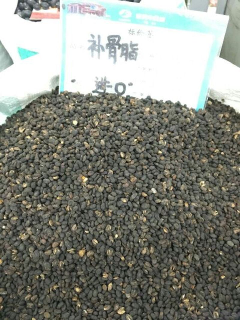 补骨脂1公斤起批无硫***不包邮只做正品