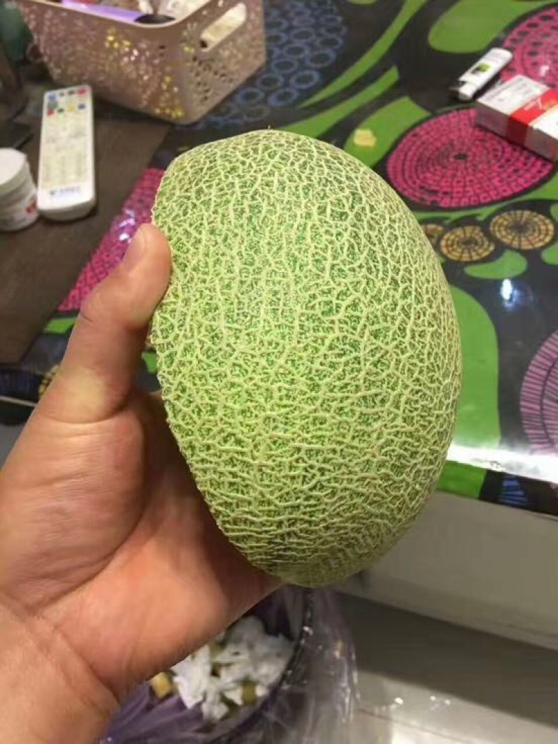西州蜜瓜3斤以上椭圆形
