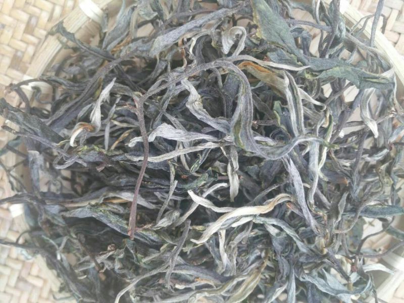 百年大树茶特级
